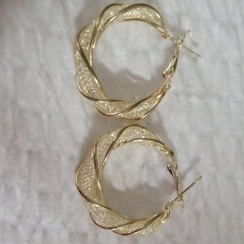 Elegant Gold Hoop Earrings